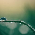 aaron-burden-126996-unsplash